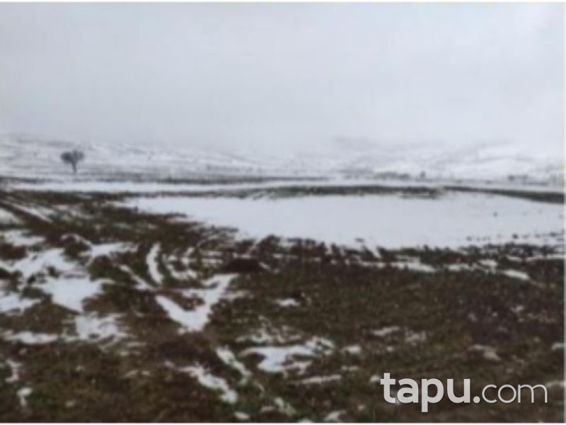 Afyonkarahisar Bolvadin Yörükkaracaören Köyü 18 Dönüm Tarla