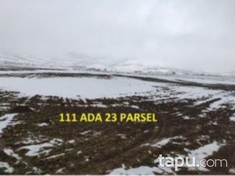 Afyonkarahisar Bolvadin Yörükkaracaören Köyü 18 Dönüm Tarla