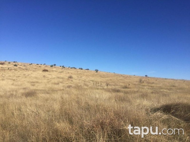 Gaziantep Oğuzeli Subaşı Mahallesinde 16 Dönüm Tarla