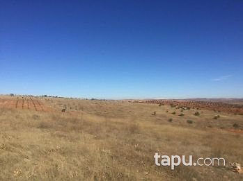 Gaziantep Oğuzeli Subaşı Mahallesinde 16 Dönüm Tarla