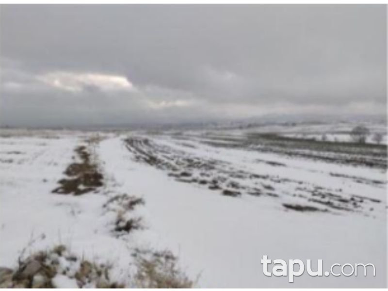 Afyonkarahisar Bolvadin Yörükkaracaören Köyü 15 Dönüm Tarla