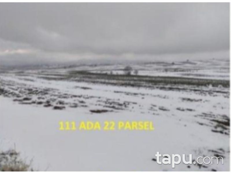 Afyonkarahisar Bolvadin Yörükkaracaören Köyü 15 Dönüm Tarla