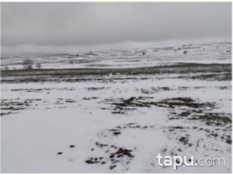 Afyonkarahisar Bolvadin Yörükkaracaören Köyü 15 Dönüm Tarla