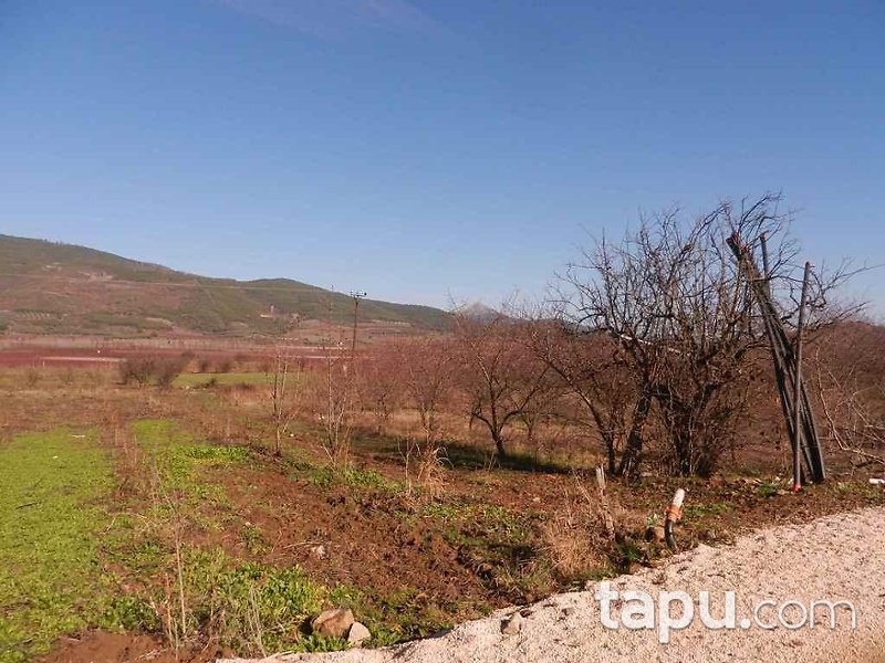 Bilecik Osmaneli Çerkeşli Köyünde 4207 m2 Tarla
