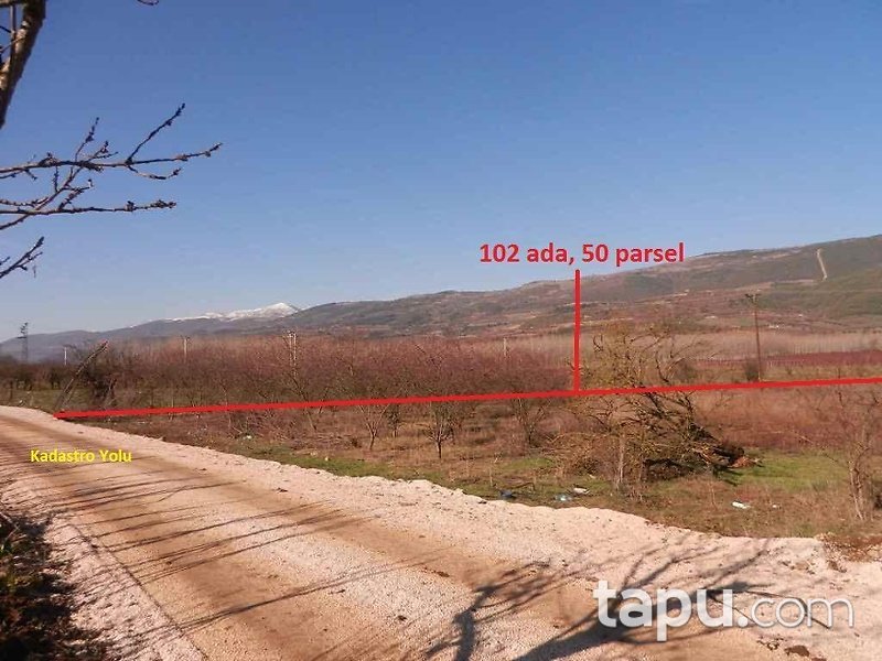 Bilecik Osmaneli Çerkeşli Köyünde 4207 m2 Tarla