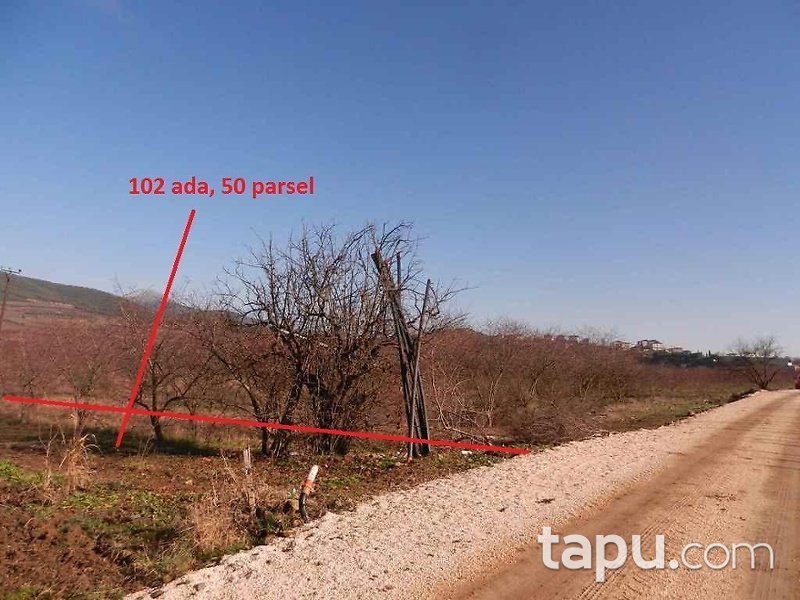 Bilecik Osmaneli Çerkeşli Köyünde 4207 m2 Tarla