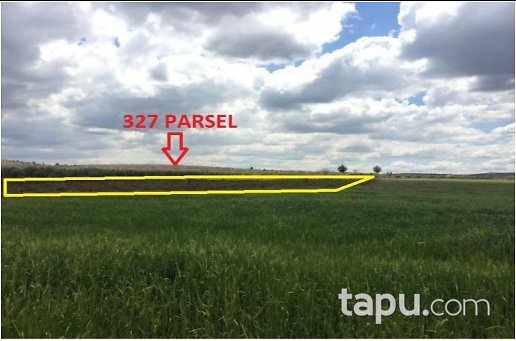 Gaziantep Oğuzeli Altınyurt Mahallesinde 5600 m2 Tarla