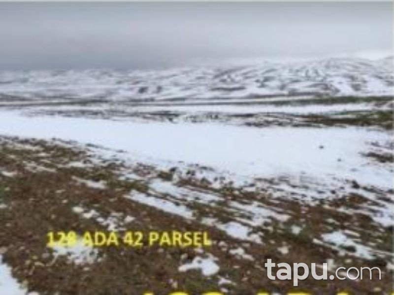 Afyonkarahisar Bolvadin Yörükkaracaören Köyünde 3 Dönüm Tarla