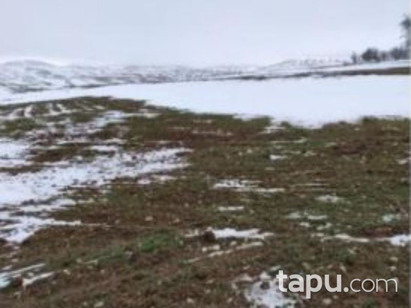 Afyonkarahisar Bolvadin Yörükkaracaören Köyünde 3 Dönüm Tarla