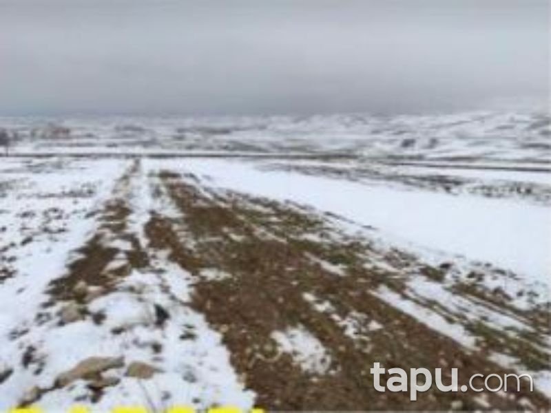 Afyonkarahisar Bolvadin Yörükkaracaören Köyünde 3 Dönüm Tarla