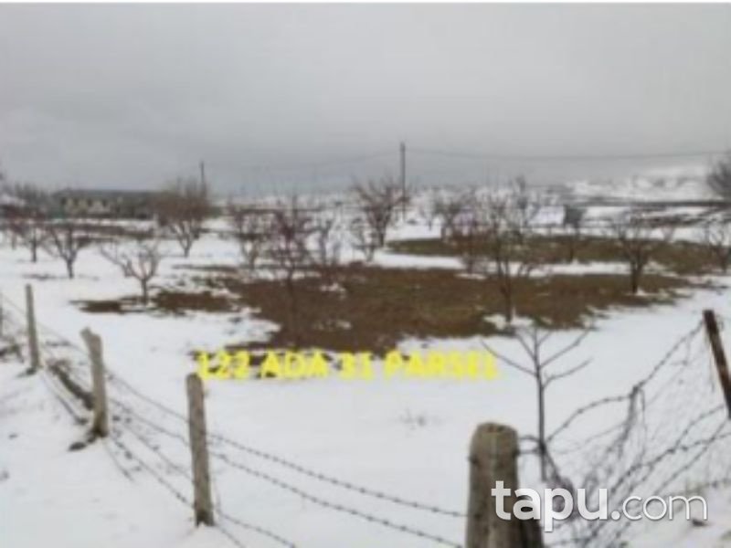 Afyonkarahisar Bolvadin Yörükkaracaören 1366 m2 Tarla