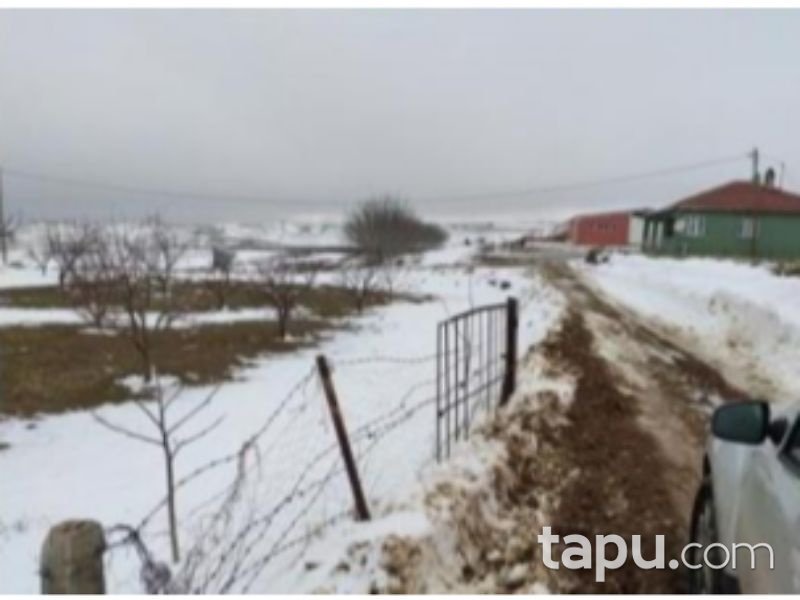 Afyonkarahisar Bolvadin Yörükkaracaören 1366 m2 Tarla