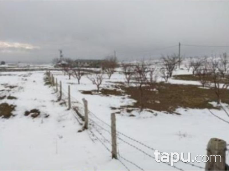 Afyonkarahisar Bolvadin Yörükkaracaören 1366 m2 Tarla