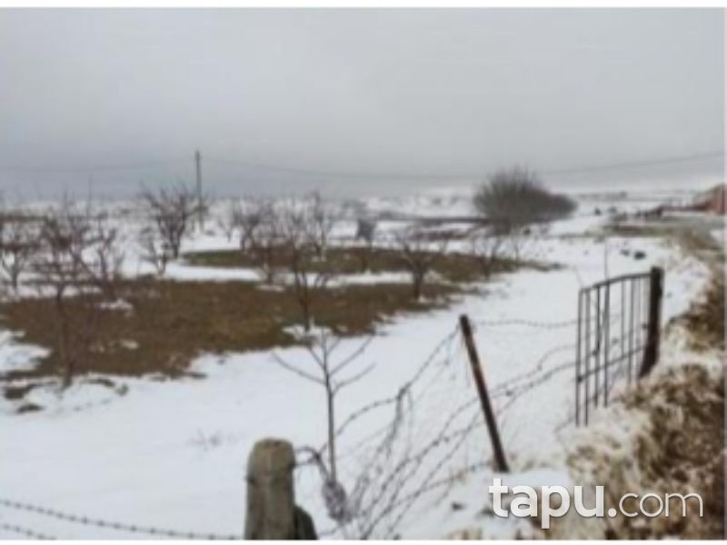 Afyonkarahisar Bolvadin Yörükkaracaören 1366 m2 Tarla