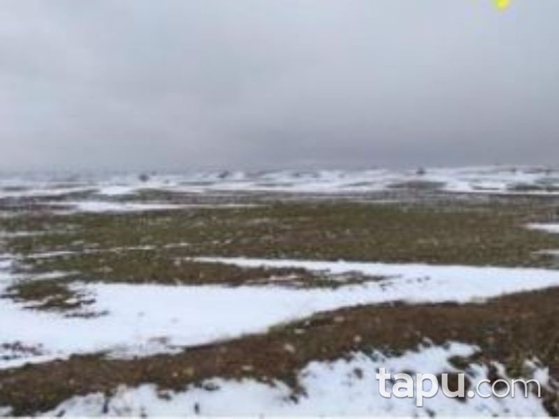 Afyonkarahisar Bolvadin Yörükkaracaören Köyünde 2 Dönüm Tarla