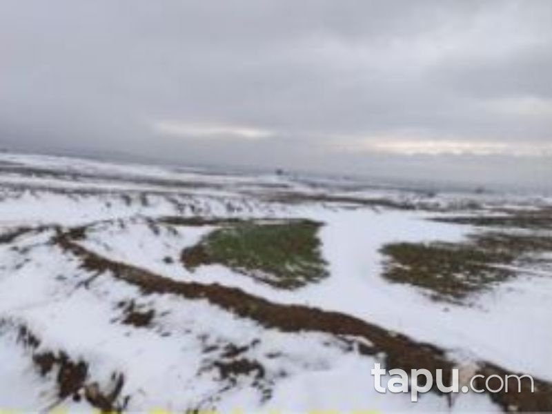 Afyonkarahisar Bolvadin Yörükkaracaören Köyünde 2 Dönüm Tarla
