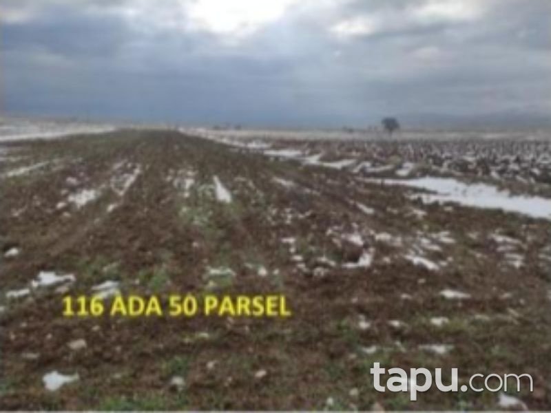 Afyonkarahisar Bolvadin Yörükkaracaören Köyünde 4892 m2 Tarla