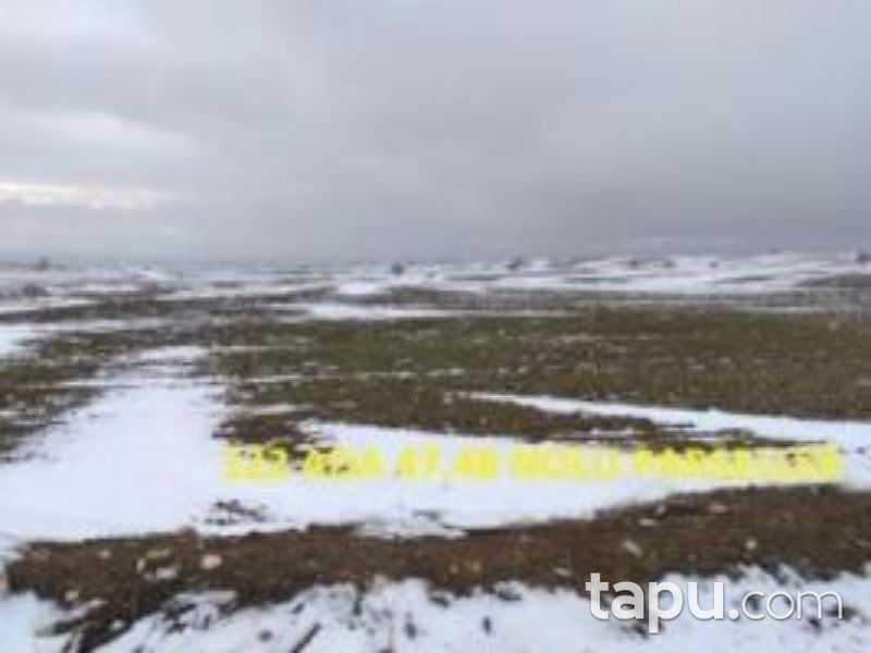 Afyonkarahisar Bolvadin Yörükkaracaören 2 Dönüm