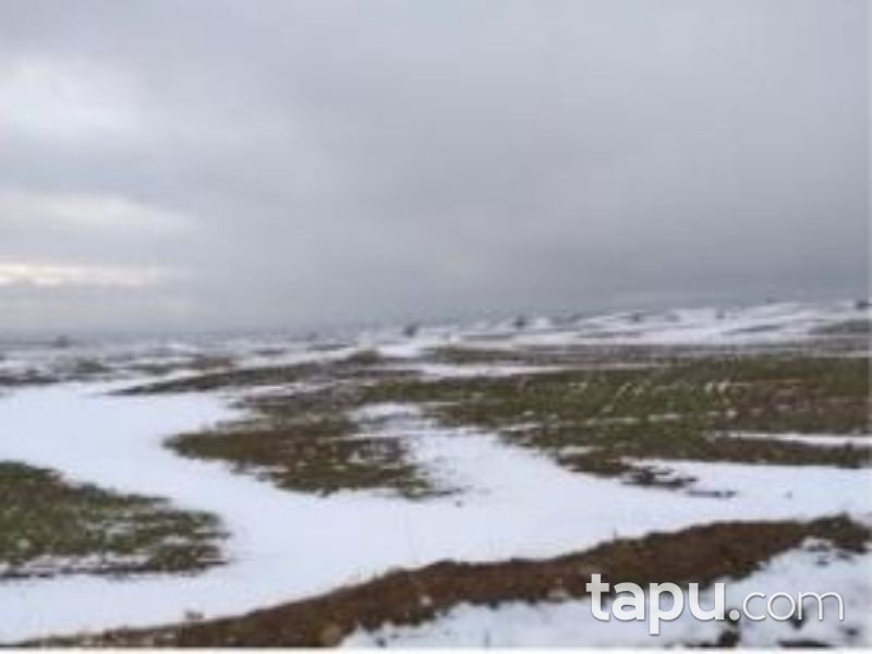 Afyonkarahisar Bolvadin Yörükkaracaören 2 Dönüm