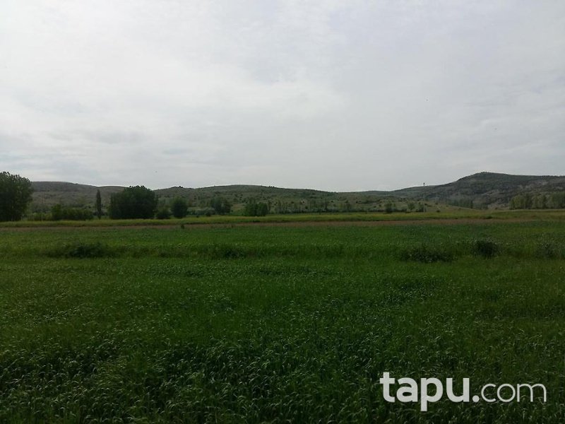 Tokat Yeşilyurt Ekinli Köyünde 22446 m2 Tarla