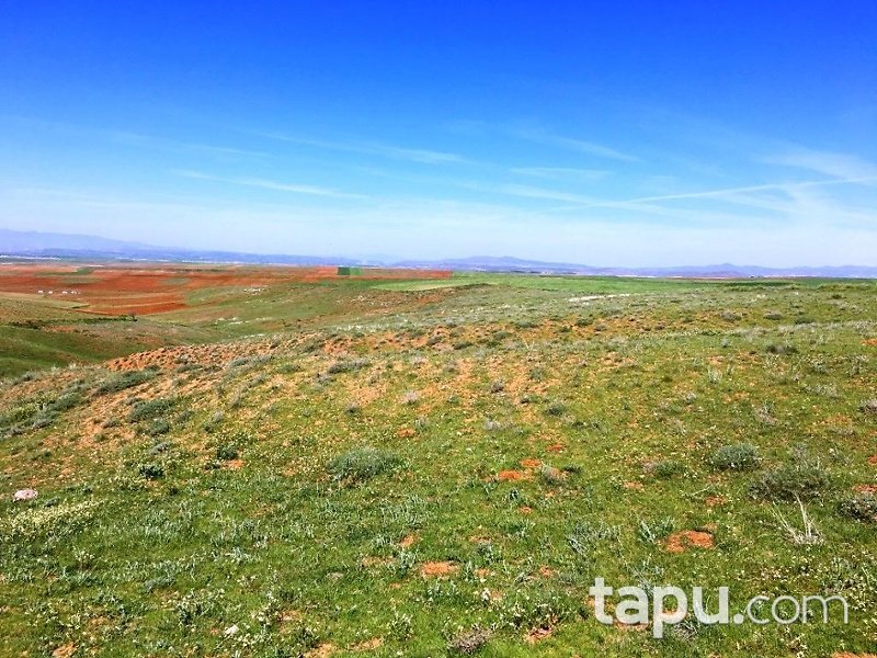 Afyonkarahisar Çobanlar Göynük Köyünde 5480 m2 Tarla