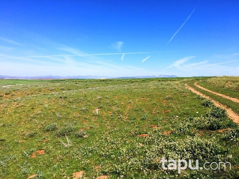 Afyonkarahisar Çobanlar Göynük Köyünde 5480 m2 Tarla