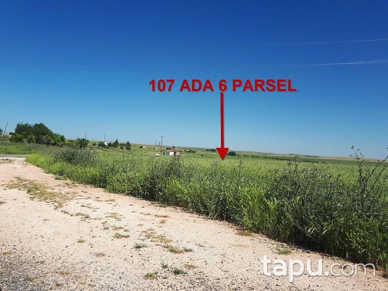 Şanlıurfa Haliliye Yolyazı Mahallesinde 12 Dönüm Tarla