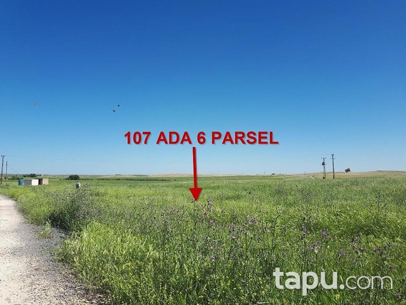 Şanlıurfa Haliliye Yolyazı Mahallesinde 12 Dönüm Tarla