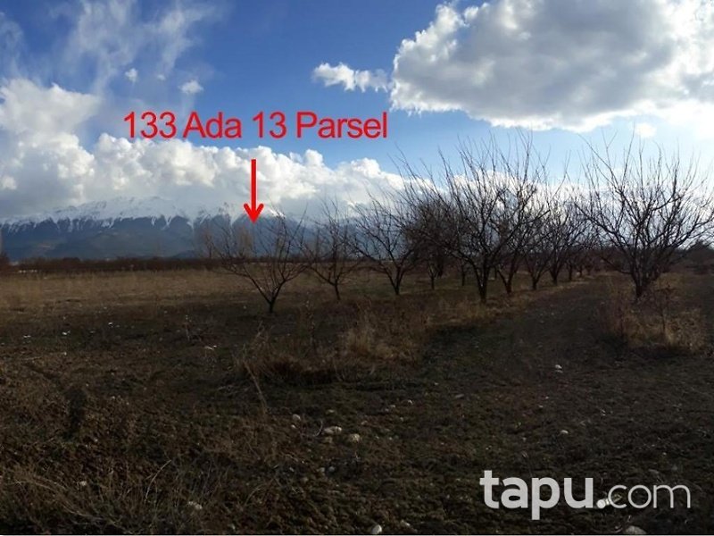 Isparta Şarkikaraağaç Yukarıdinek Köyünde 4986 m2 Bahçe