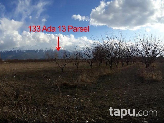 Isparta Şarkikaraağaç Yukarıdinek Köyünde 4986 m2 Bahçe