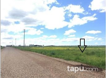 Gaziantep Şahinbey Almalı Köyünde 8700 m2 Tarla