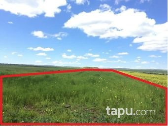 Gaziantep Şahinbey Almalı Köyünde 8700 m2 Tarla