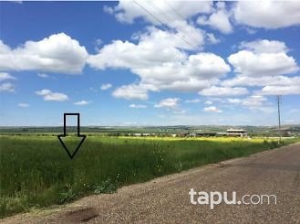 Gaziantep Şahinbey Almalı Köyünde 8700 m2 Tarla