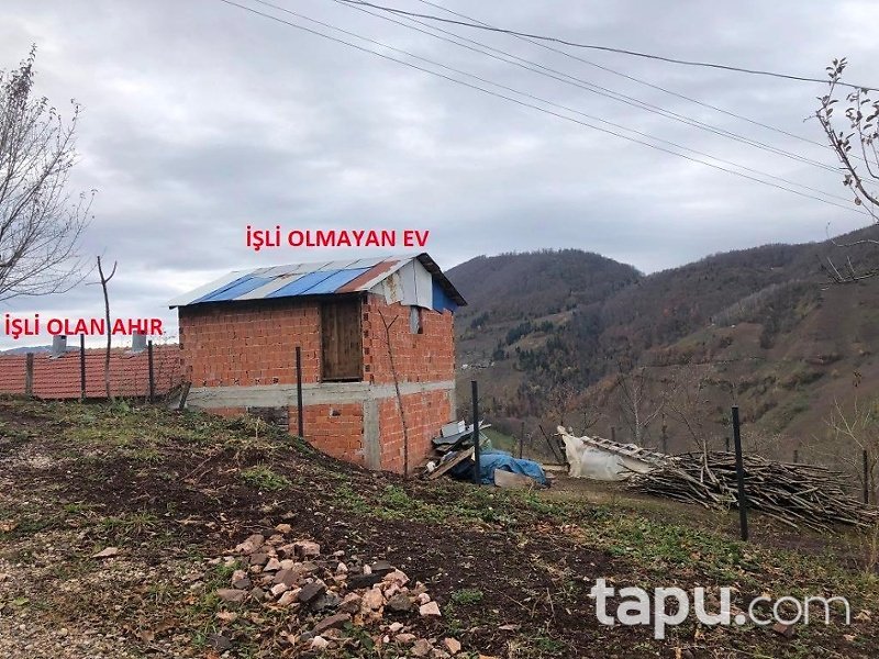 Sakarya Hendek Dikmen Köyünde 3908m2 Fındık Bahçesi