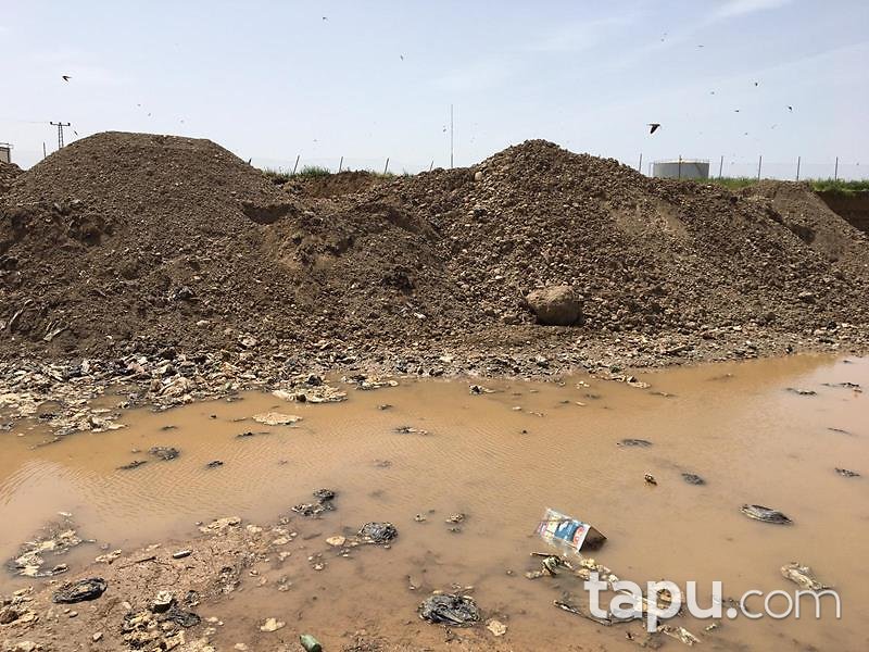 Diyarbakır Bismil Fatih Mahallesinde 6528 m2 Tarla