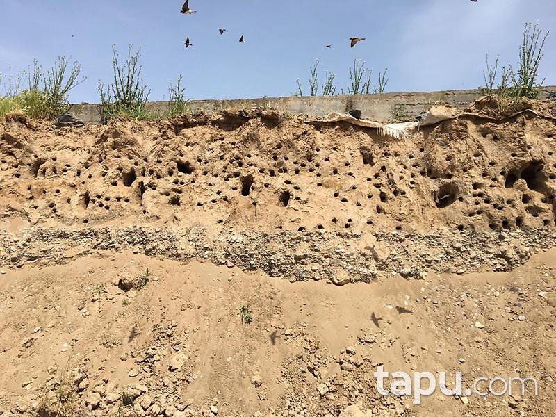 Diyarbakır Bismil Fatih Mahallesinde 6528 m2 Tarla