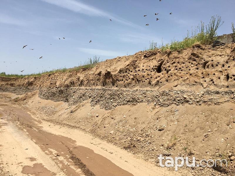 Diyarbakır Bismil Fatih Mahallesinde 6528 m2 Tarla