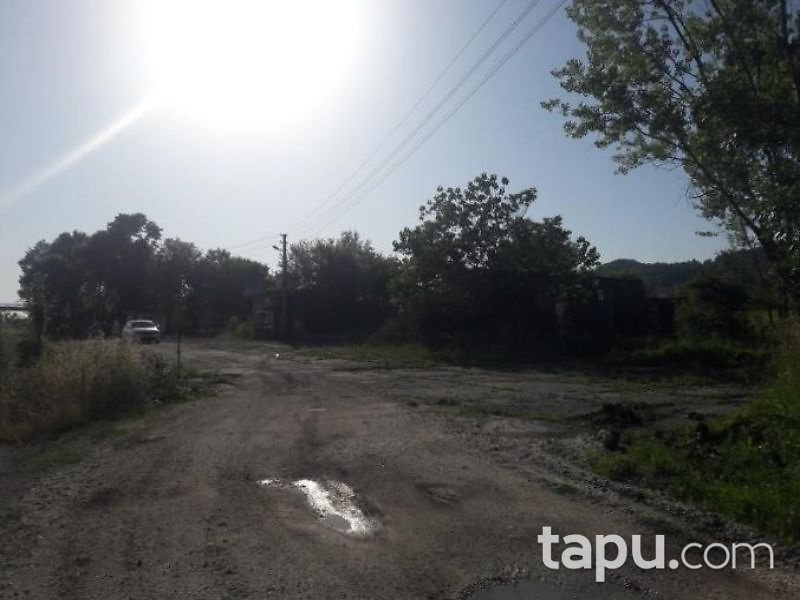 Sakarya Hendek Beylice Mahallesinde Benzin Deposu ve Çay Evi