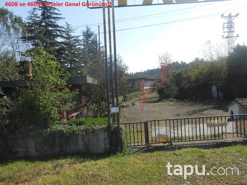 Ordu Fatsa Bolaman Mahallesinde Fabrika Binası ve Arazisi