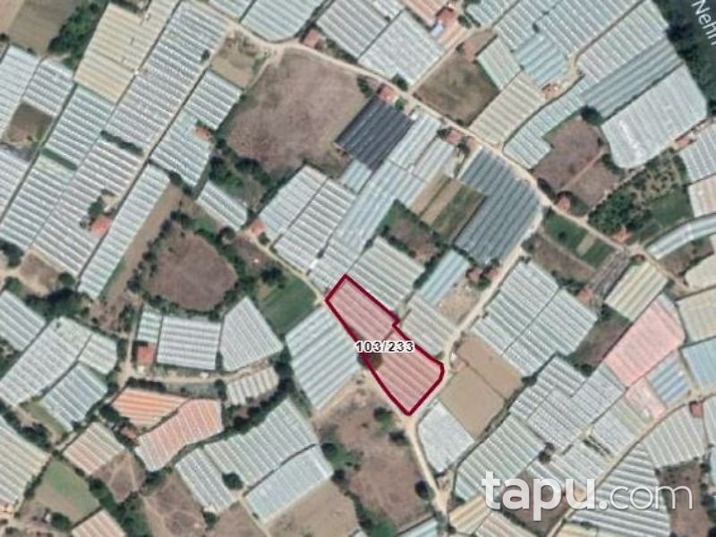 Bilecik Söğüt Çaltı/Şen Mahallesinde 3569 m2 Sera