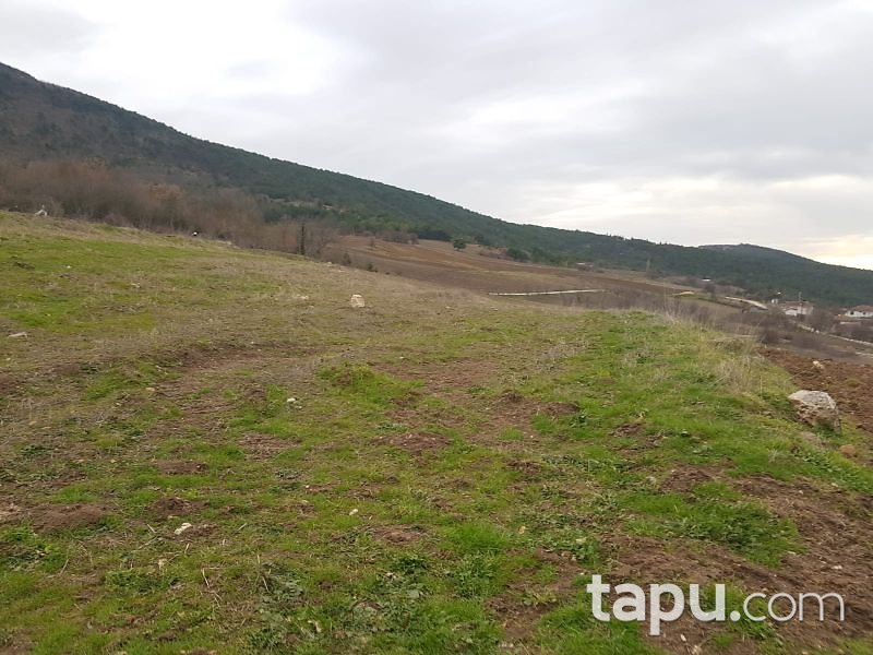 Bilecik Gölpazarı Kuşçuören Köyü'nde 1.824 m2 Tarla