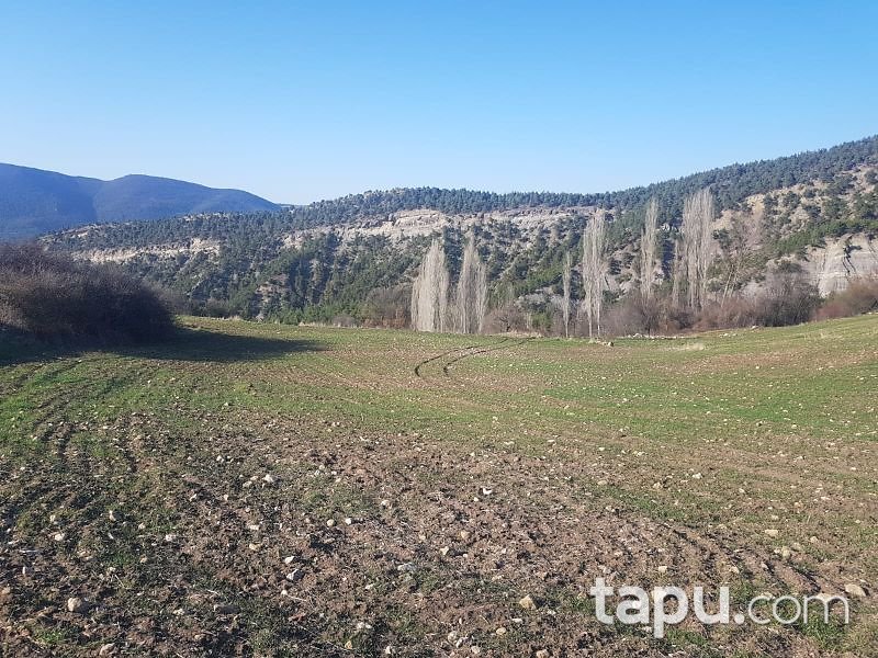 Bilecik Gölpazarı Kuşçuören Köyü'nde 2155 m2 Tarla