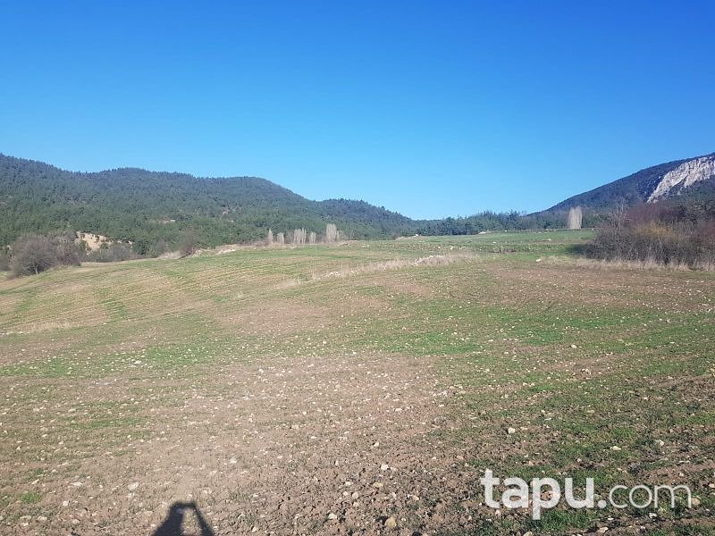 Bilecik Gölpazarı Kuşçuören Köyü'nde 2155 m2 Tarla