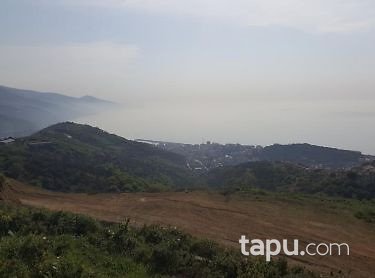Yalova Çınarcıkta 400m2 İmarlı Arsa