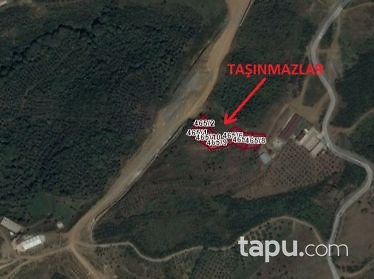 Yalova Çınarcıkta 400m2 İmarlı Arsa