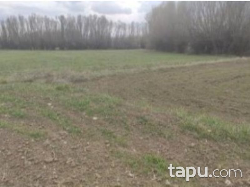 Afyonkarahisar Dinar Çayüstü Köyünde 592 m2 Tarla