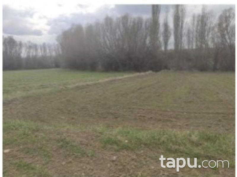 Afyonkarahisar Dinar Çayüstü Köyünde 592 m2 Tarla