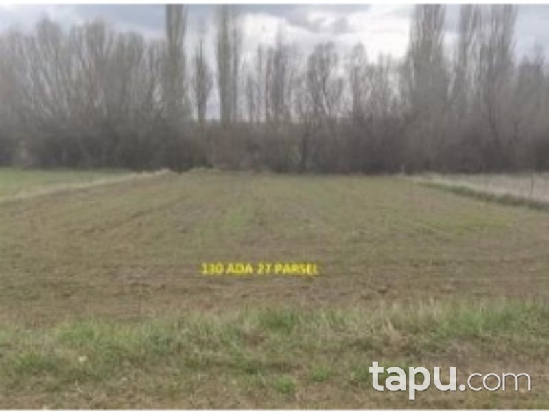 Afyonkarahisar Dinar Çayüstü Köyünde 592 m2 Tarla