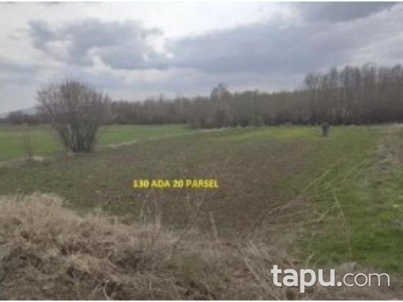 Afyonkarahisar Dinar Çayüstü Köyünde 675 m2 Tarla