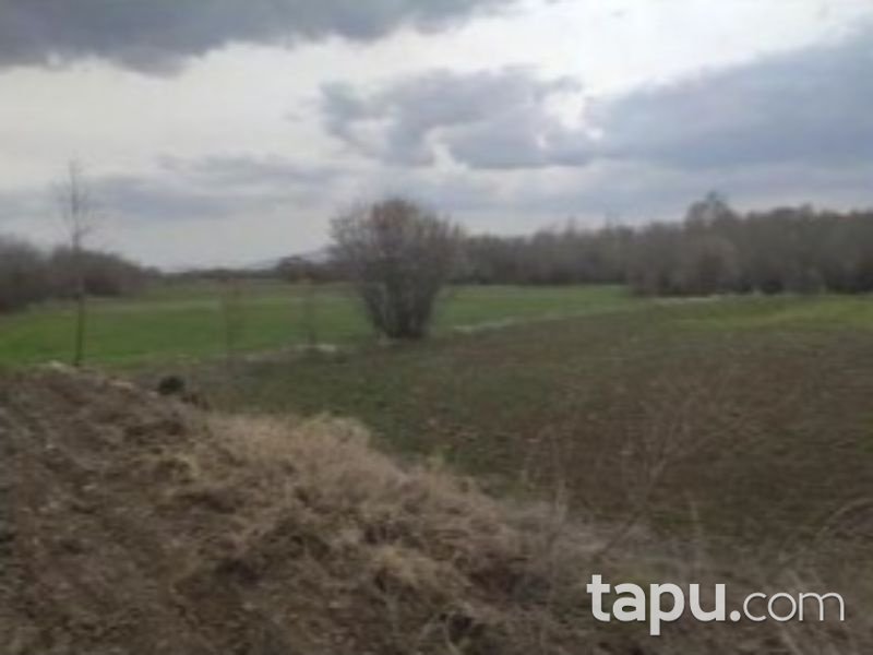 Afyonkarahisar Dinar Çayüstü Köyünde 675 m2 Tarla